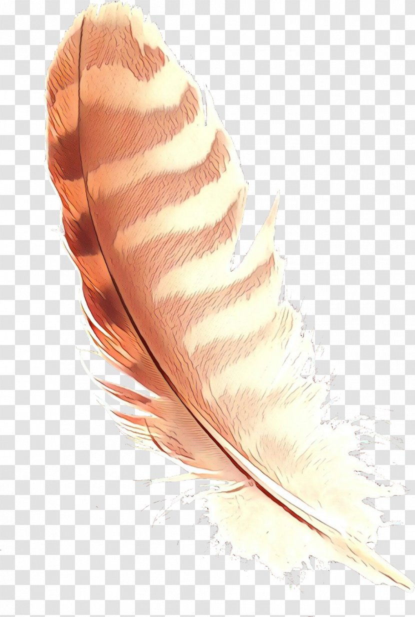Feather - Cartoon - Writing Implement Natural Material Transparent PNG