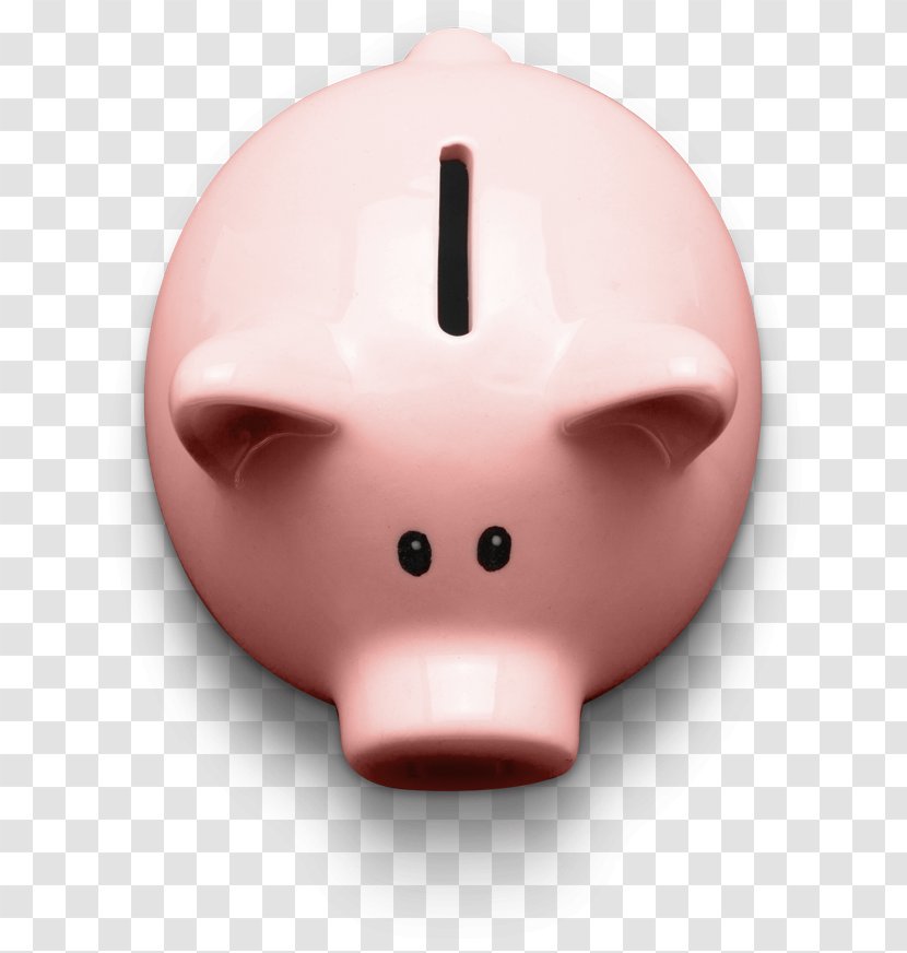 Keyword Tool Research Bank Snout - Pink - Neat Image Transparent PNG