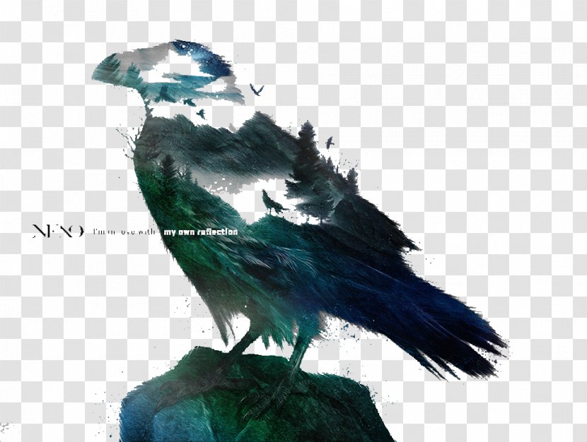 Crows Google Images Download Clip Art - Bird - Crow Pattern Transparent PNG