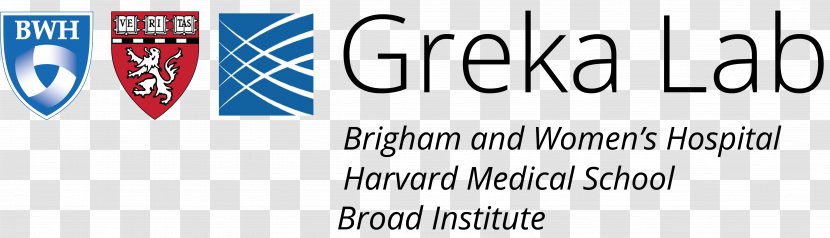 Harvard Medical School Brigham And Women's Hospital University Research Laboratory - Banner - People. Transparent PNG