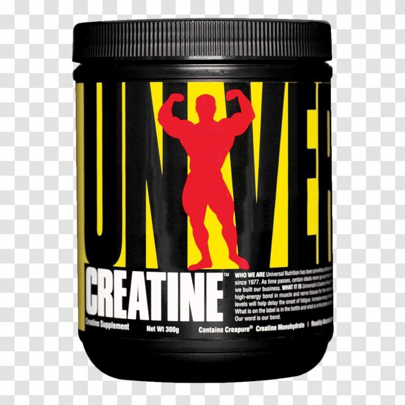 Dietary Supplement Creatine Bodybuilding Nutrition Serving Size - Universal Transparent PNG