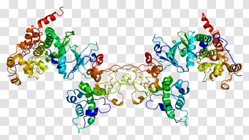 Casein Kinase 2, Alpha 1 - Serinethreoninespecific Protein - Dna Repair Transparent PNG