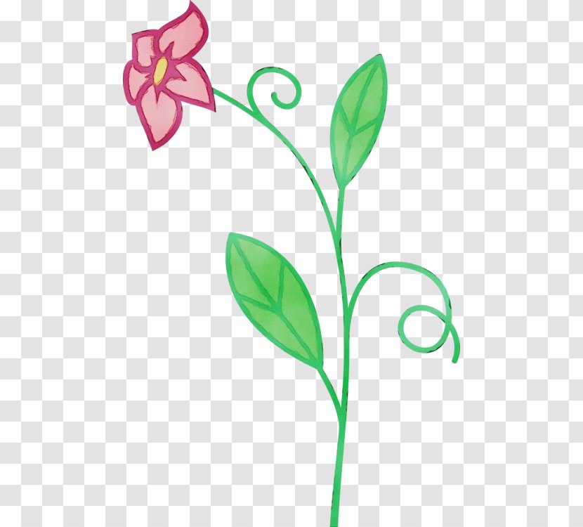 Flower Leaf Plant Pedicel Stem - Sweet Peas Flowering Transparent PNG