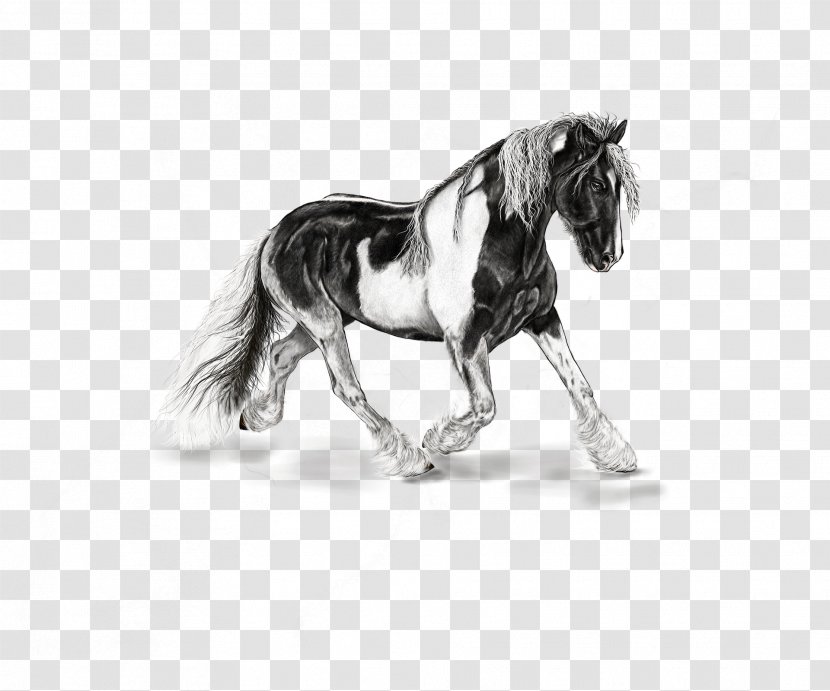 American Paint Horse Mustang Stallion Shetland Pony - Watercolor Transparent PNG