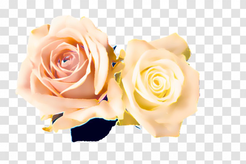 Wedding Flower Background - Hybrid Tea Rose - Beige Artificial Transparent PNG