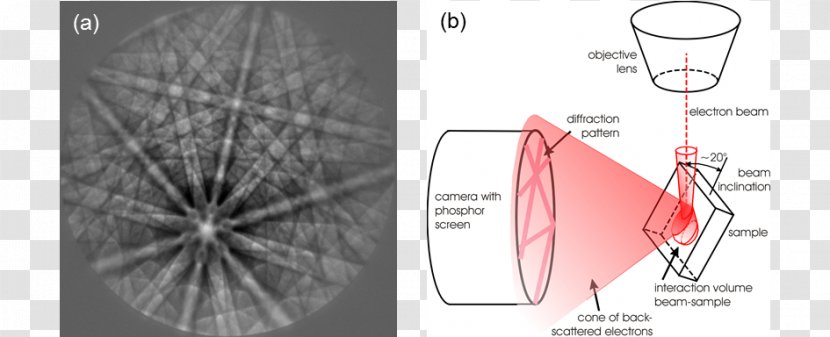 Electron Backscatter Diffraction Kikuchi Line Bragg's Law Crystallography Scanning Microscope - Text Transparent PNG