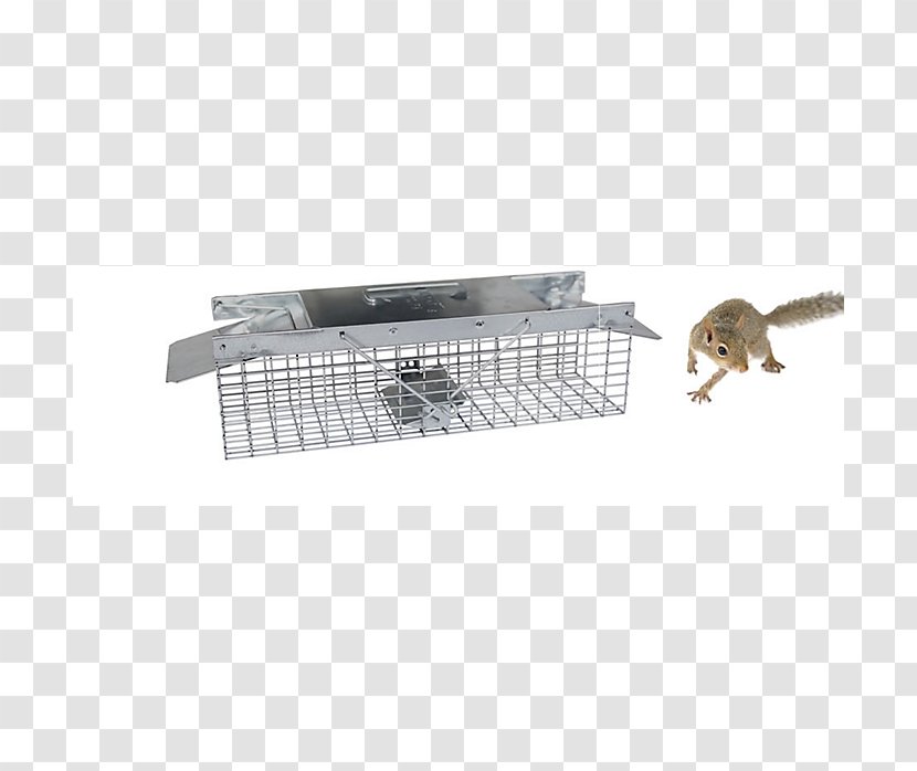 Mouse Rat Rodent Squirrel Least Weasel - Trap Transparent PNG