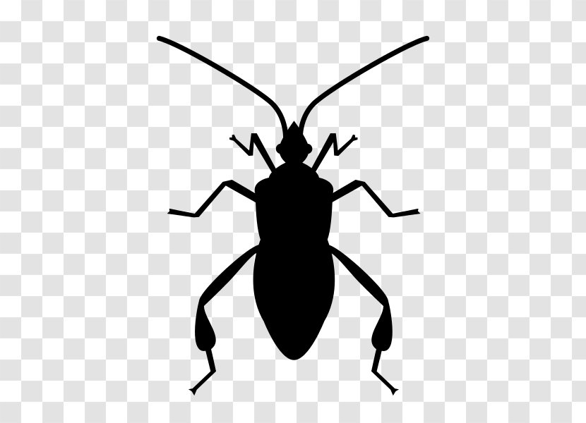 Insect Software Bug Clip Art - Pest Transparent PNG