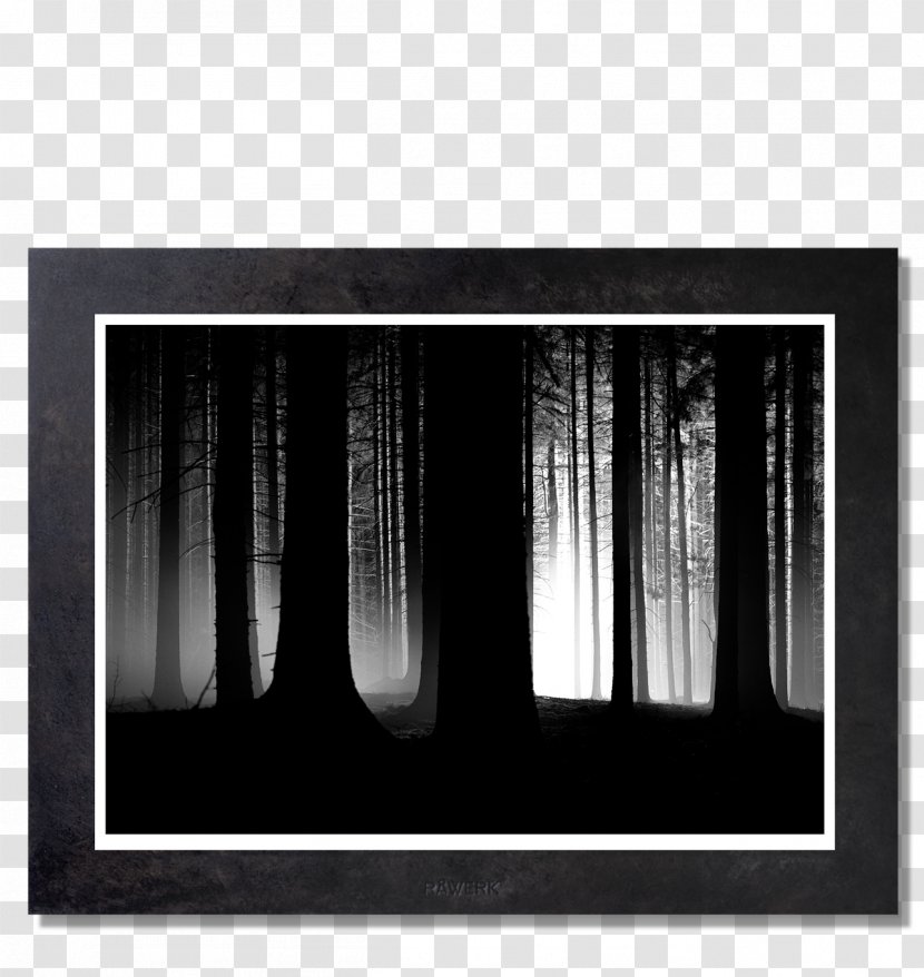Picture Frames White Wall - Monochrome Photography - Dark Forest Transparent PNG