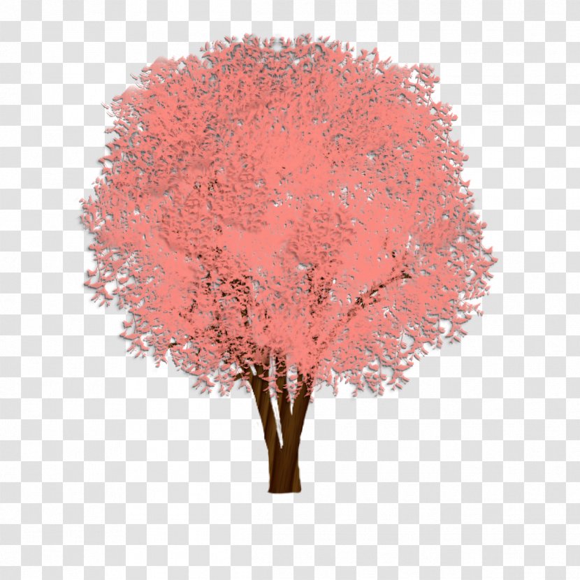 Shade Tree Cedar Elm Weeping Fig Transparent PNG