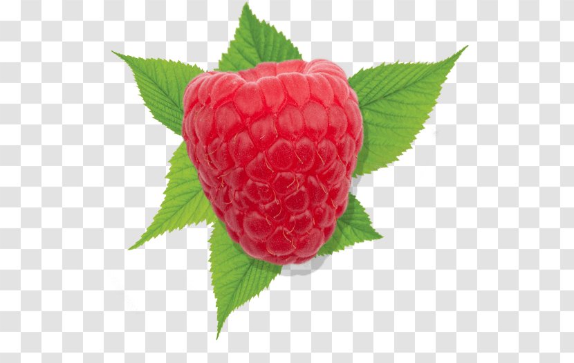 Strawberry Red Raspberry Driscoll's - Brambles Transparent PNG