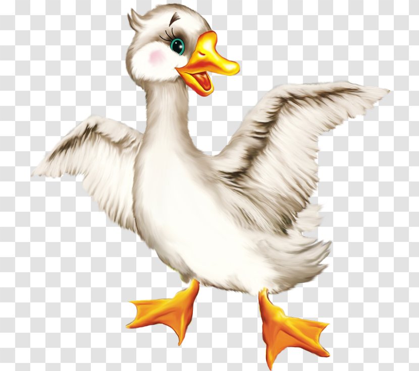 Chicken Odnoklassniki Clip Art LiveInternet Illustration - Beak - Goslings Transparent PNG