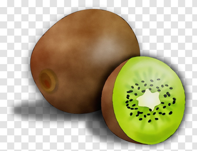 Kiwifruit Fruit Plant Transparent PNG