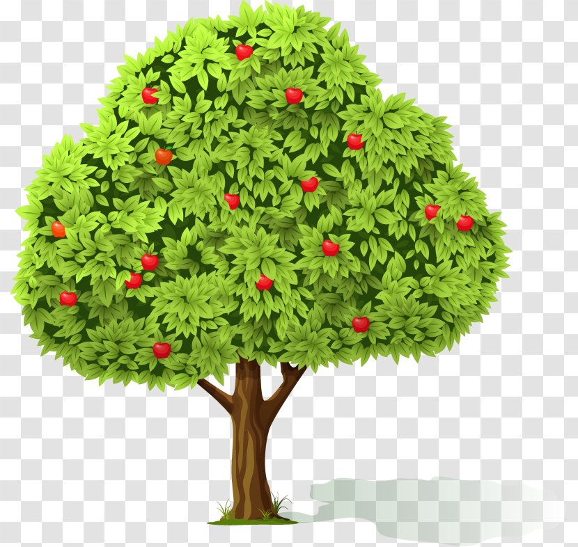 Flowerpot Houseplant Evergreen Tree Clip Art Transparent PNG