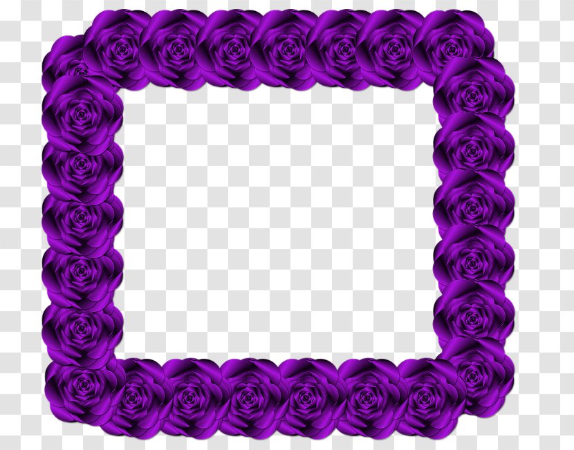 Circle - Purple - Violet Transparent PNG