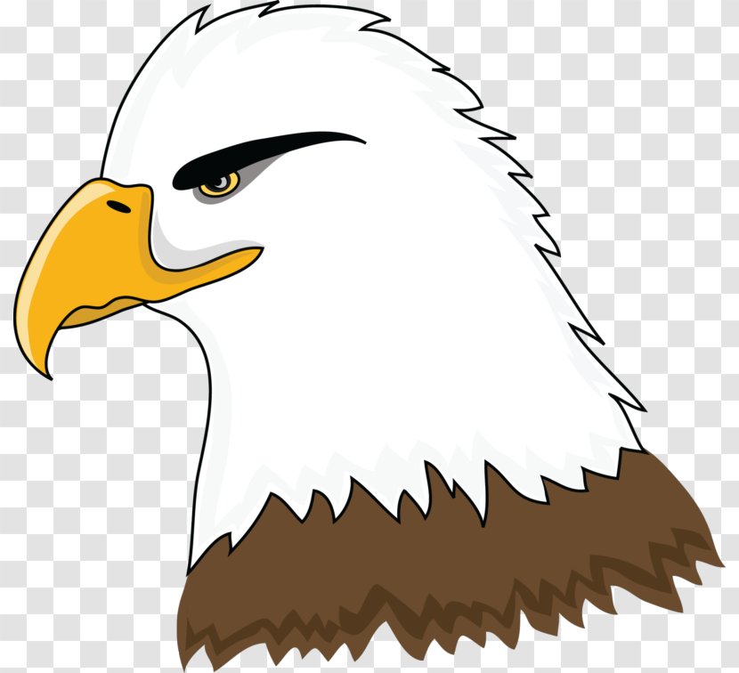 Bald Eagle Clip Art - Feather Transparent PNG