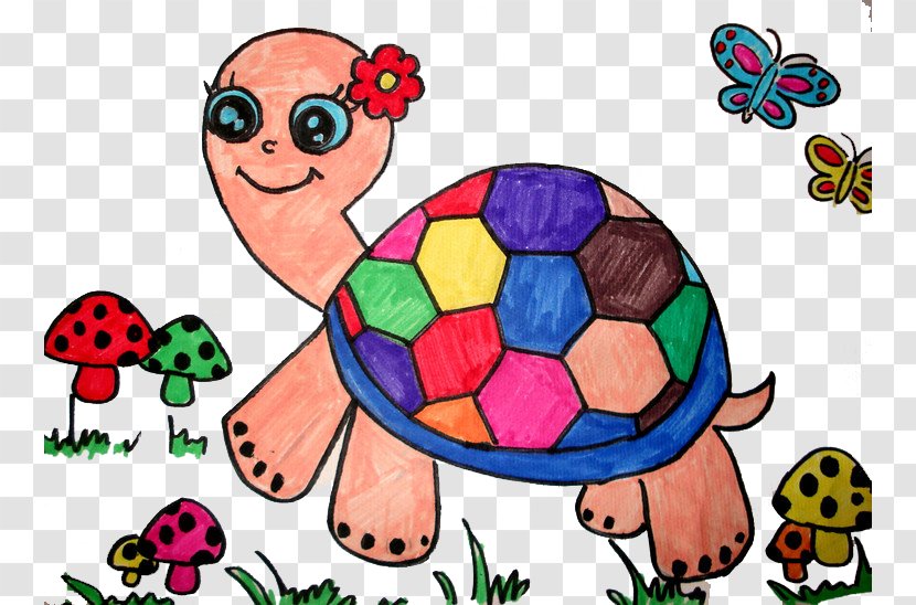 Turtle Child Painting Creative Work - Frame - Painted Transparent PNG