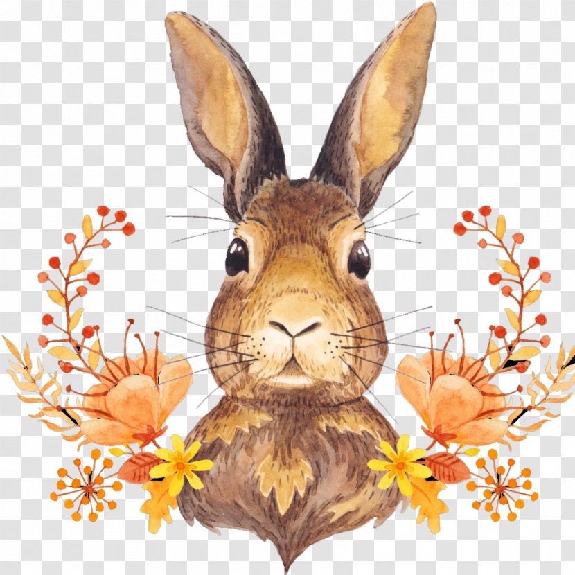 Autumn Leaf Color Harvest Thanksgiving - Cute Bunny Transparent PNG