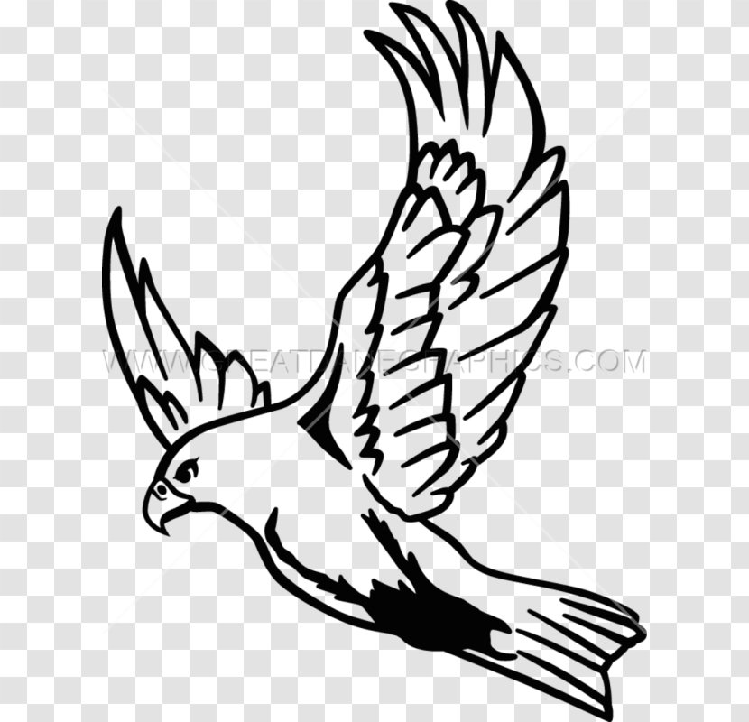 Clip Art Drawing Line Image Falcon - Tail Transparent PNG