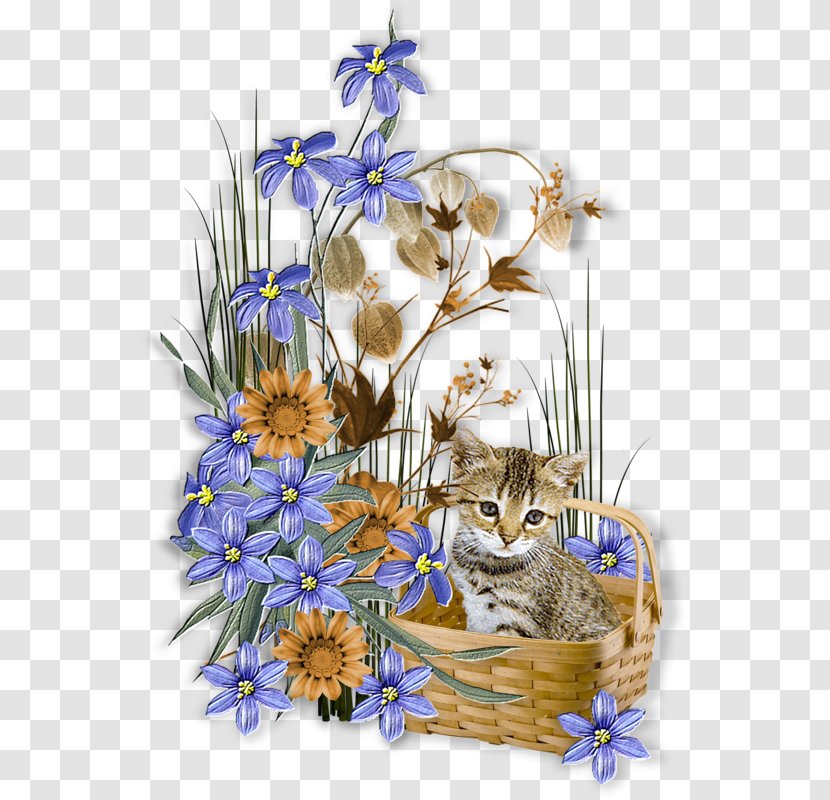 Cat Love 0 1 - Floristry Transparent PNG