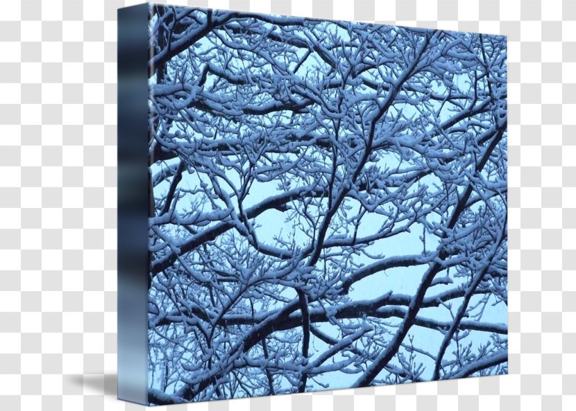 Tree Twig Violet Winter Stock Photography - Dagens Nyheter - Snow Landscape Transparent PNG