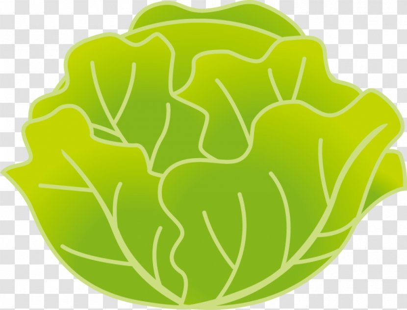 Leaf Vegetable Kohlrabi Cabbage Food Transparent PNG