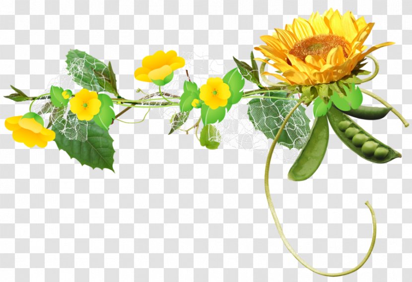 Common Sunflower Clip Art - Plant - гвоздика Transparent PNG