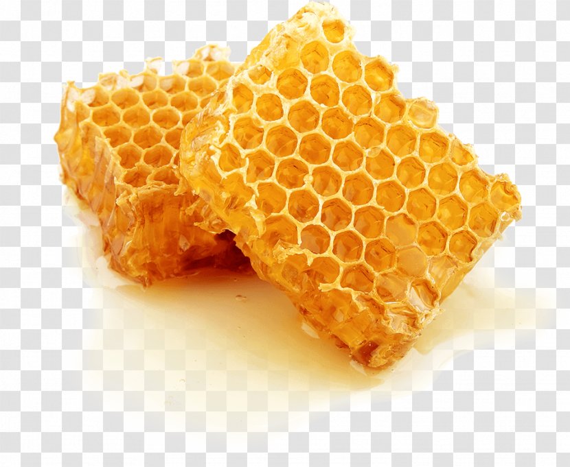 Beehive Honeycomb Honey Bee Transparent PNG