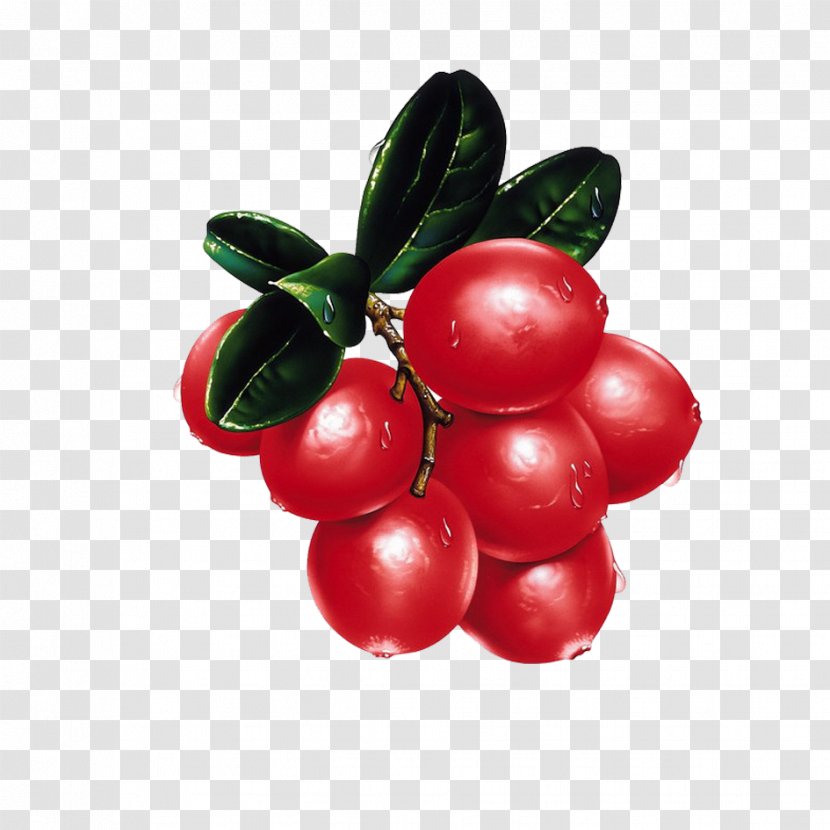 Fruit - Preserves - Cherry Art Transparent PNG