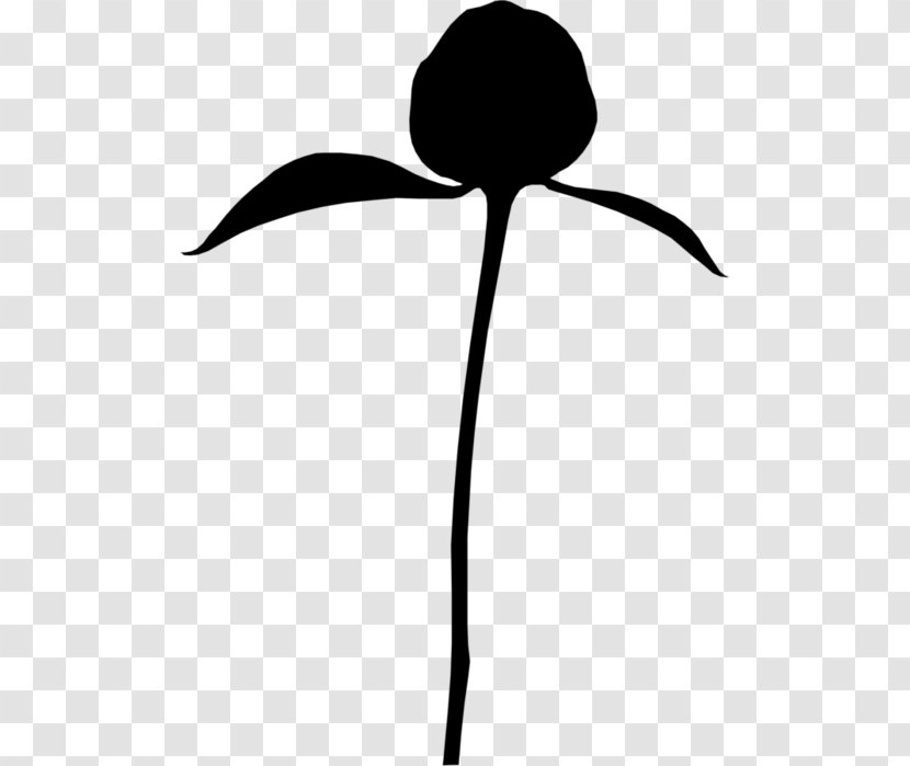 Clip Art Silhouette Line Flower Plant Stem - Petal - Botany Transparent PNG