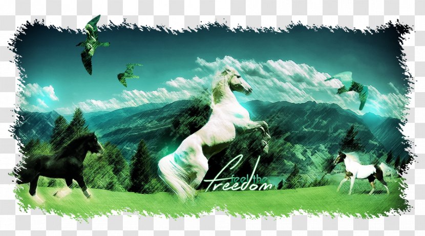 Horse Desktop Wallpaper Dell Computer Intel - Mythical Creature Transparent PNG