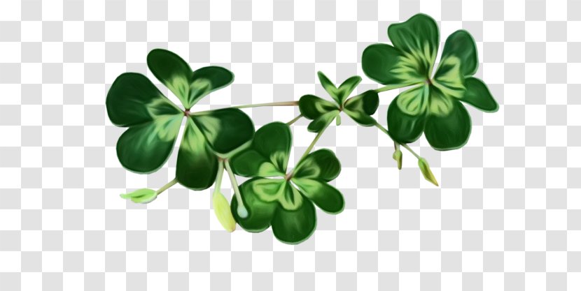 Saint Patricks Day - Patrick - Herb Symbol Transparent PNG