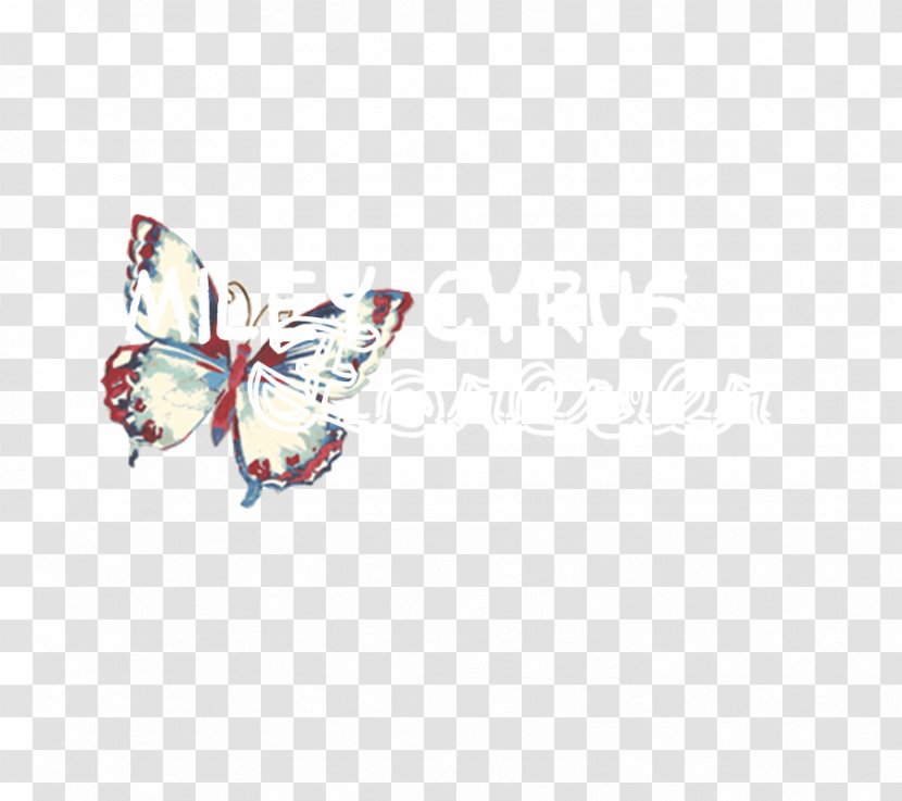 Brush-footed Butterflies Butterfly - Invertebrate Transparent PNG