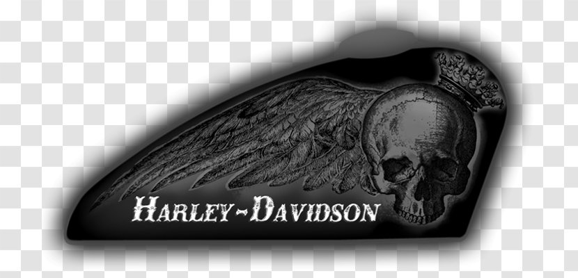 Harley-Davidson Museum Custom Motorcycle Sportster - Skull - Moto Transparent PNG