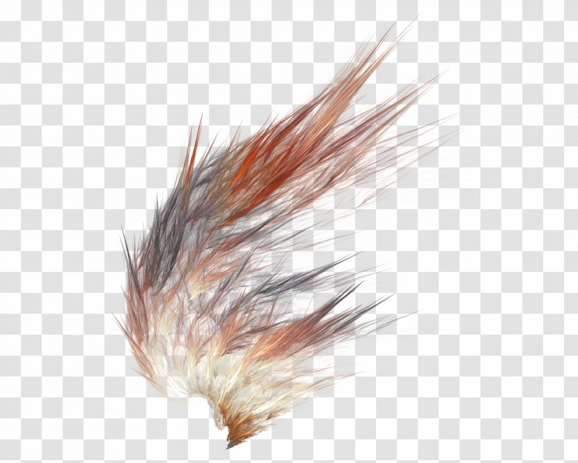 Feather Dark Brown - Abstract Transparent PNG