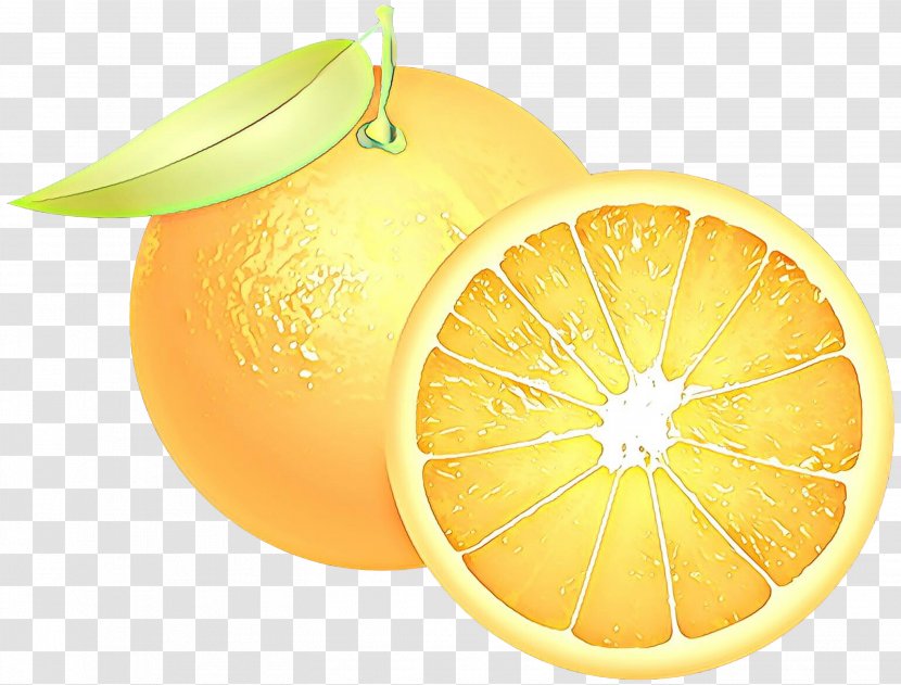 Orange - Grapefruit - Lime Transparent PNG