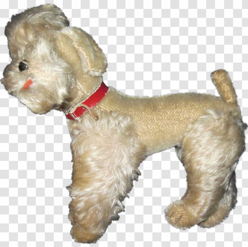 Miniature Poodle Schnoodle Shih Tzu Cockapoo - Carnivora Transparent PNG