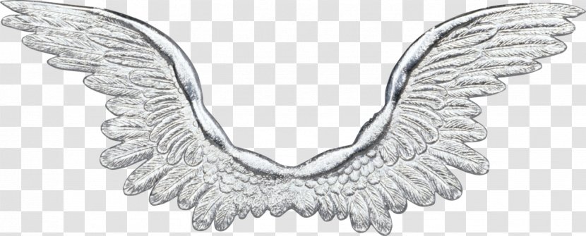 Buffalo Wing - Silver - White Wings Material Transparent PNG