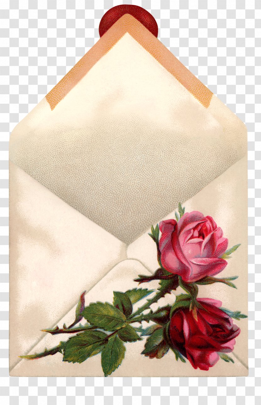 The Hatbox Letters A Measure Of Light Things Are Never As They Seem: Poetry From Heart Dog Home: Chronicle North Country Life - Floristry - Rose Envelope Transparent PNG
