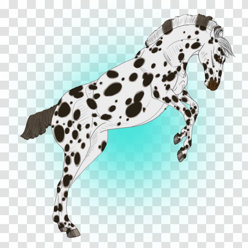 Dalmatian Dog Horse Breed Digital Art DeviantArt - Carnivoran Transparent PNG
