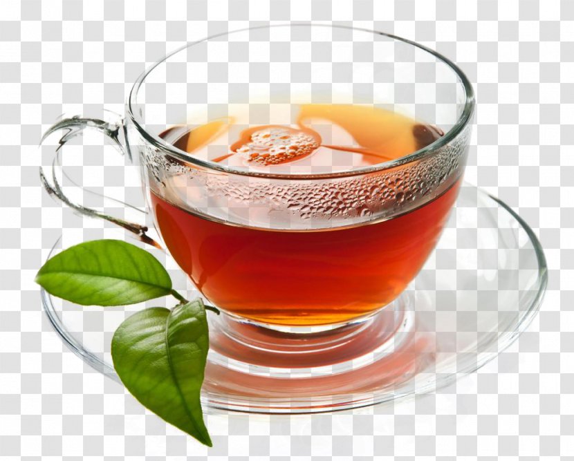 Maghrebi Mint Tea Beer Green Julep - Beverage Can Transparent PNG