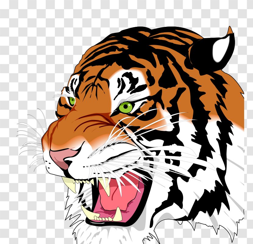 Tiger Rendering Clip Art - Organism Transparent PNG