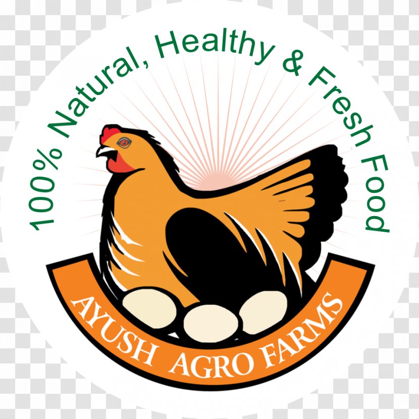Food Asil Chicken Free-range Eggs Ayush Agro Farms - Egg Transparent PNG