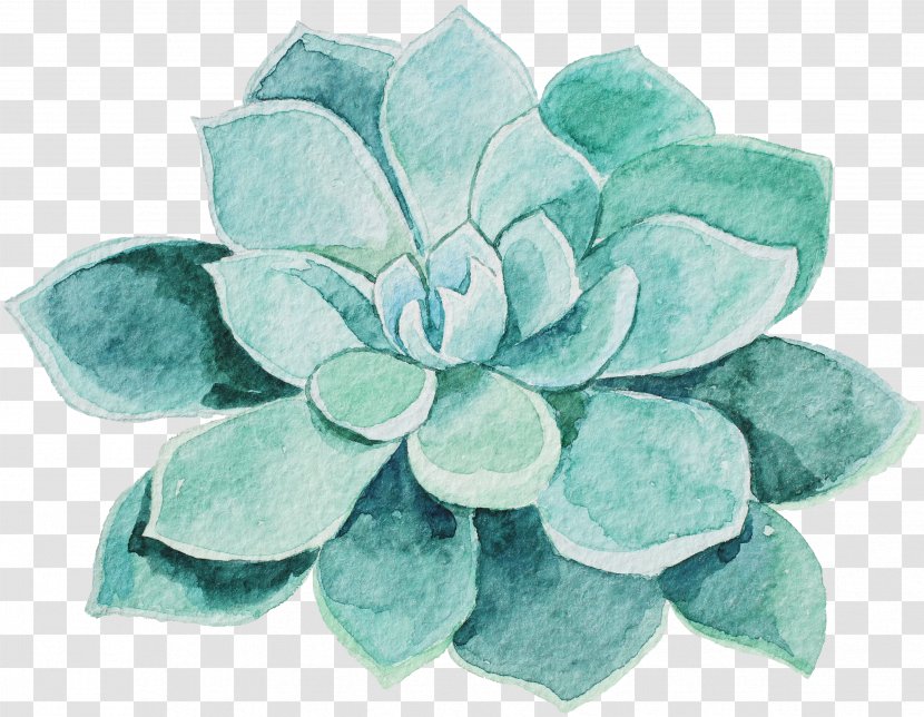 Watercolor Painting Flower - Pillow - Succulents Transparent PNG