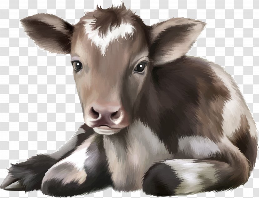 Calf Roping Cattle Stock Photography - Baby Bottles - Cow Transparent PNG