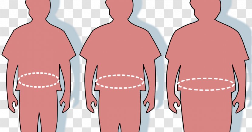 Abdominal Obesity Adipose Tissue Waist Fatty Liver - Frame - Health Transparent PNG