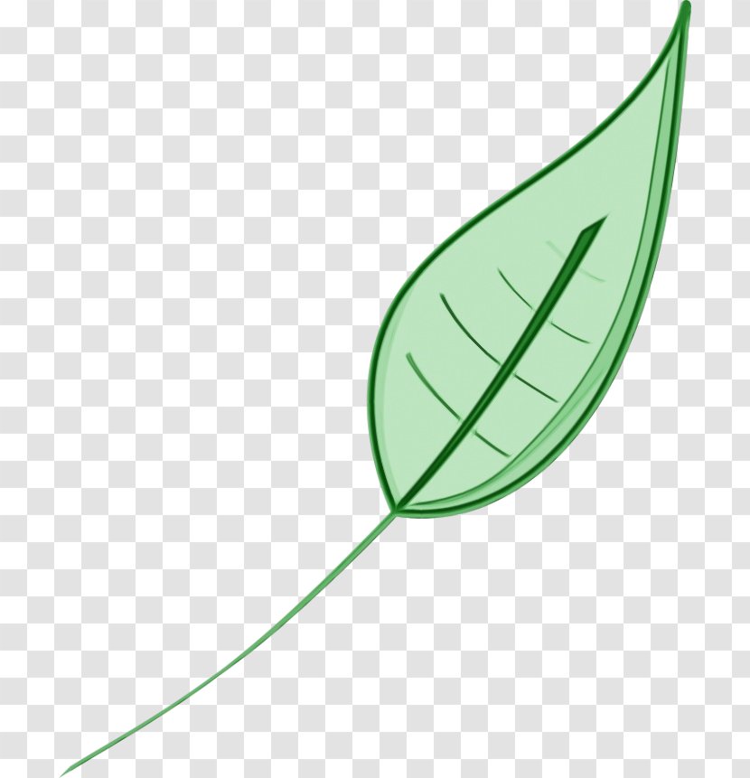 Green Leaf Watercolor - Flower Botany Transparent PNG