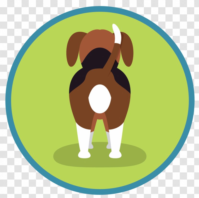 Beagle Your Puppy Canidae Scent Hound Transparent PNG