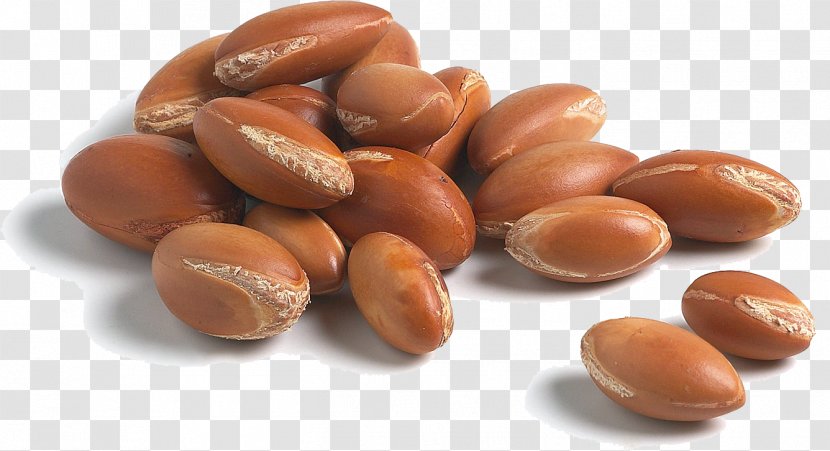 Argan Oil Lotion Moisturizer Skin - Nuts Seeds - Drop Transparent PNG