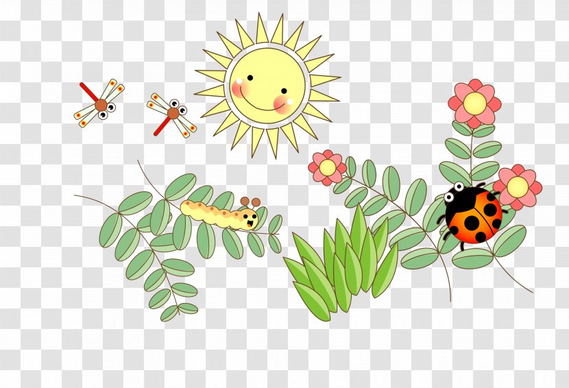 Butterfly Ladybird Clip Art - Leaf - Leaves On The Insects Transparent PNG